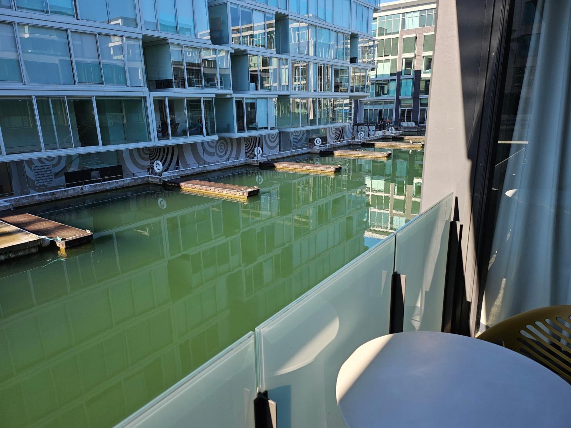 Pavilions Marina Apartment 102 - Wynyard Quarter Viaduct Harbour Окленд Экстерьер фото
